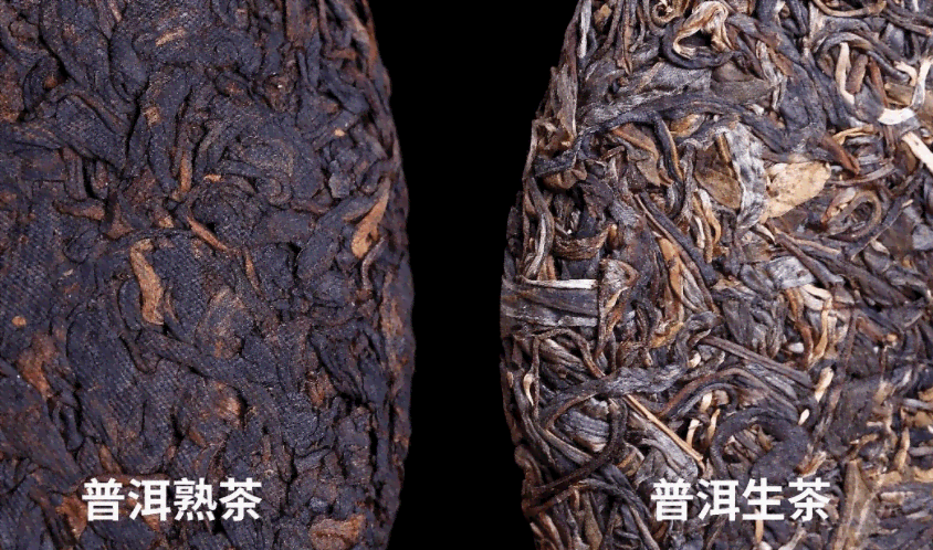 普洱茶生茶品种全面解析：哪几个品种的好？区别在哪里？有哪些品种？