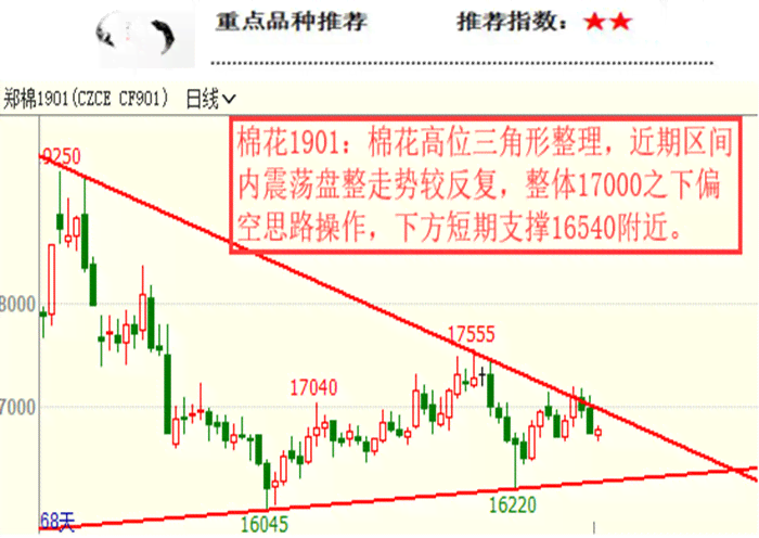 金华玉石市场价格波动分析及批发货源指南