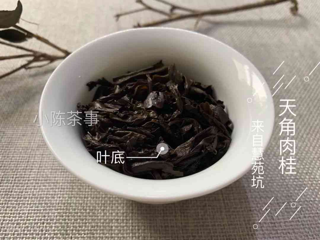 普洱茶与岩茶：一场口感的较量，探讨两者可比性