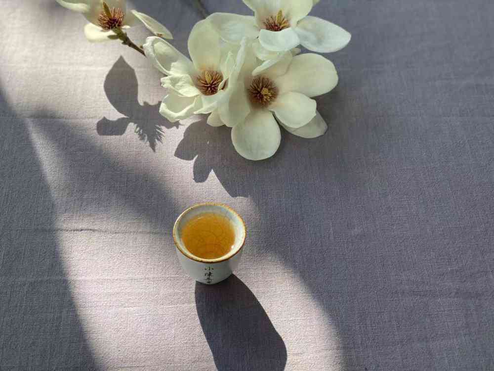 平常喝岩茶还是普洱茶好