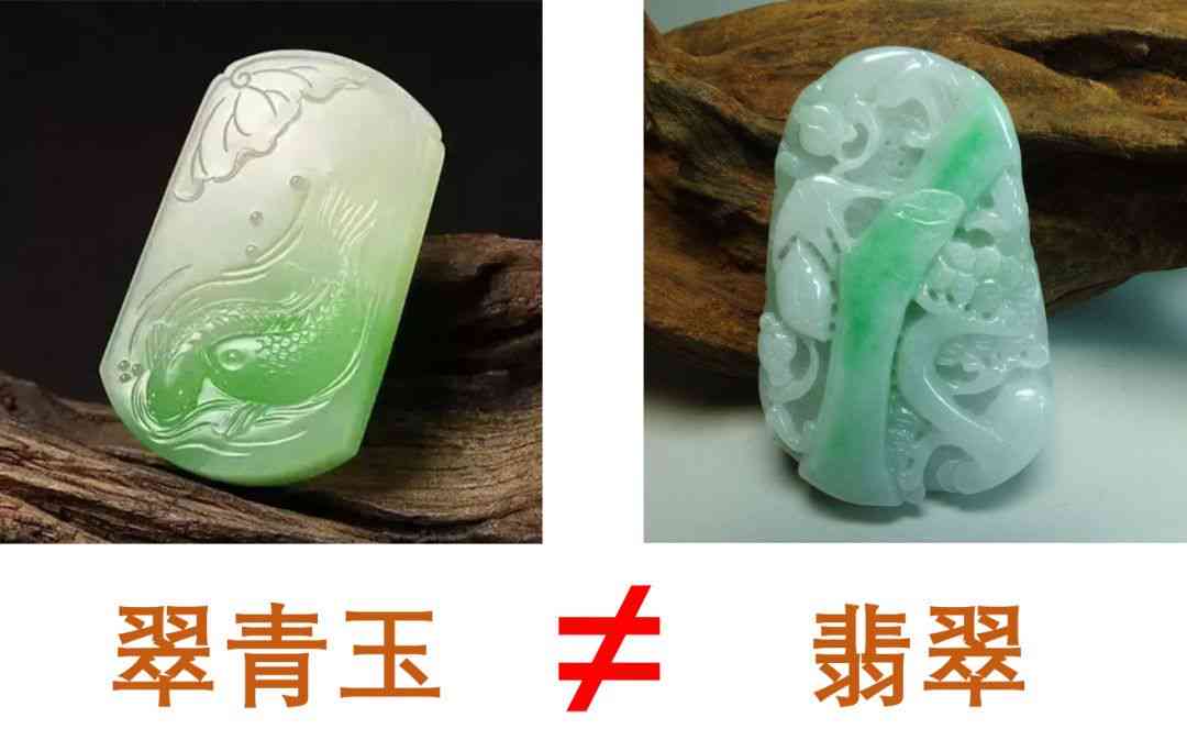 天山翠与天山冰翠：两大相似品种的详细比较与区别解析