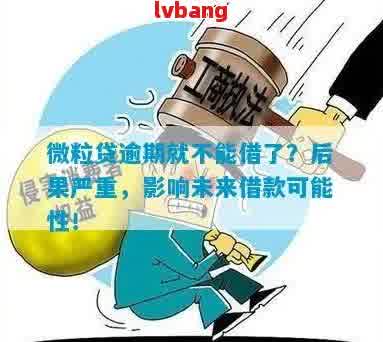 逾期还款的严重后果：微粒贷不还怎么办？