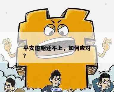 平安保险逾期超过2年怎么办？解决方法全解析