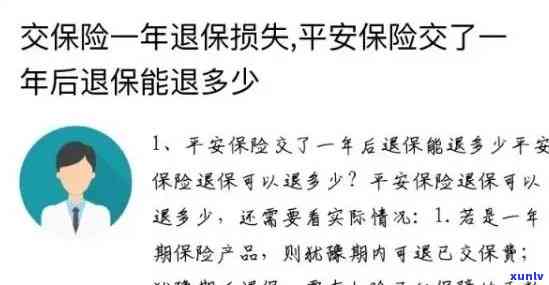 平安保险逾期超过2年怎么办？解决方法全解析