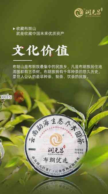 福润祥普洱茶布朗之星价格