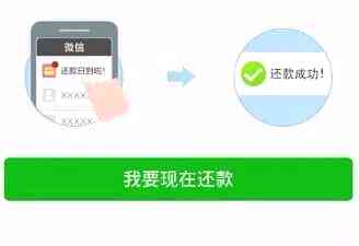 逾期一次的平安银行信用卡处理策略：如何避免信用影响并快速还款