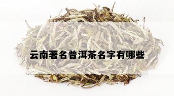 昆明的普洱茶叶有哪些：请列出昆明知名普洱茶牌子及名称