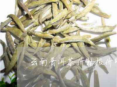 昆明普洱茶分类及价格查询