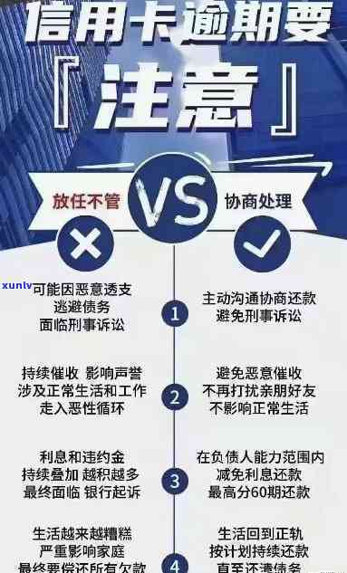 个性化分期成功后如何进行信用记录管理和还款操作