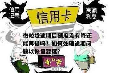 微粒贷逾期后如何调整额度？了解这些方法帮你轻松解决问题