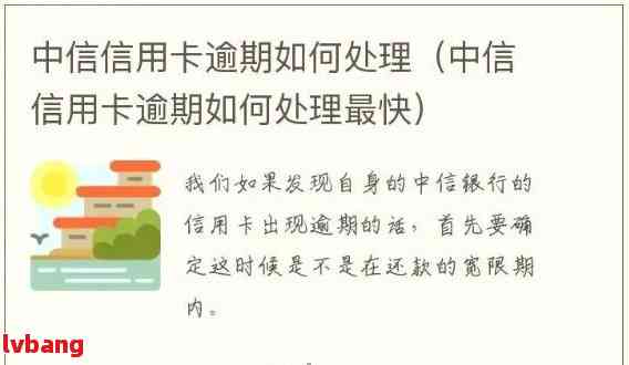 半年未还款的中信信用卡逾期问题解决之道