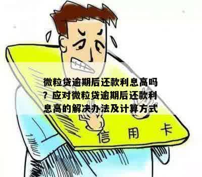 微粒贷借款次日还款：逾期是否会产生额外利息？