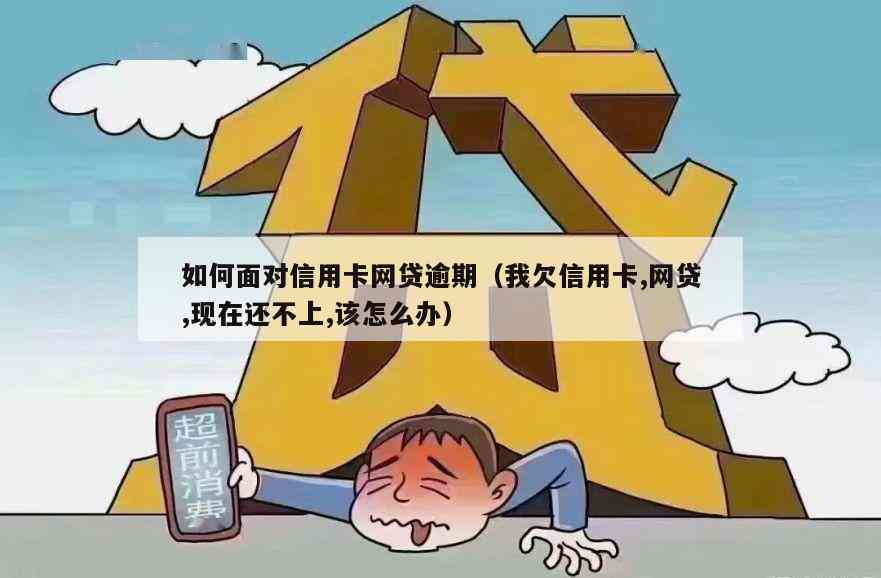 欠信用卡网贷还不上是个人问题吗