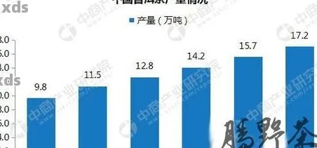 茶普洱茶销售量高的原因分析：品种、品质与消费者需求