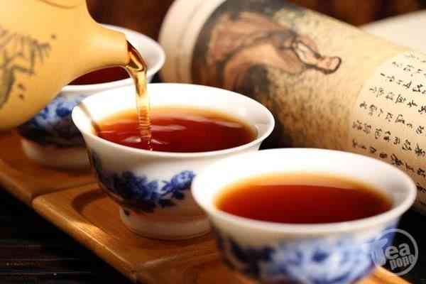 天喝红茶还是普洱茶好？哪个更适合？绿茶与普洱的区别在哪里？