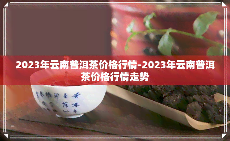 上磨烈2023普洱茶价格