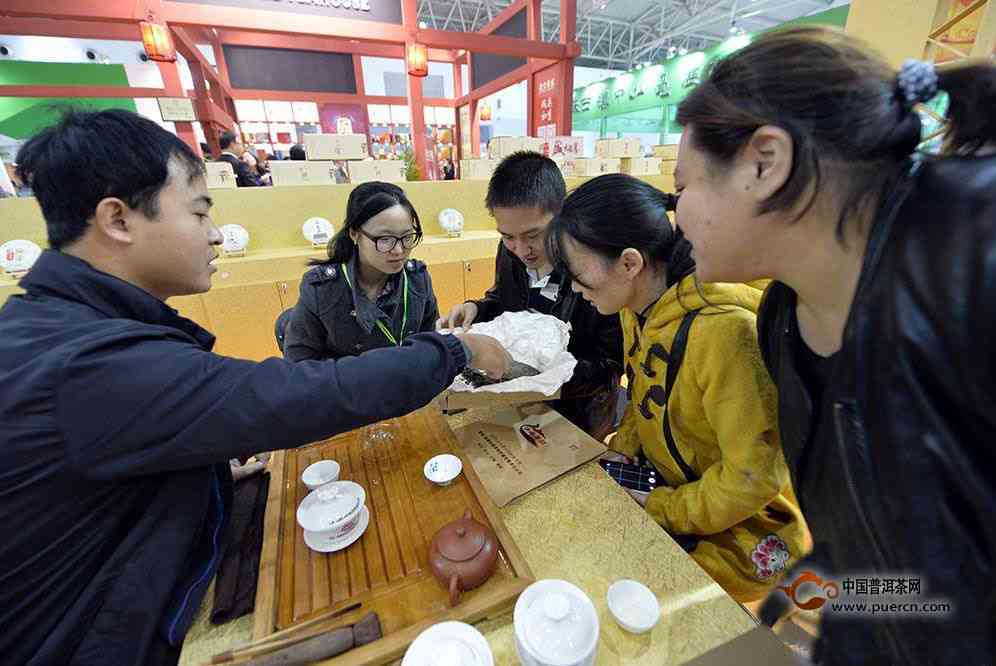 临沧特色普洱茶品鉴之旅，寻找正宗购买渠道与推荐活动