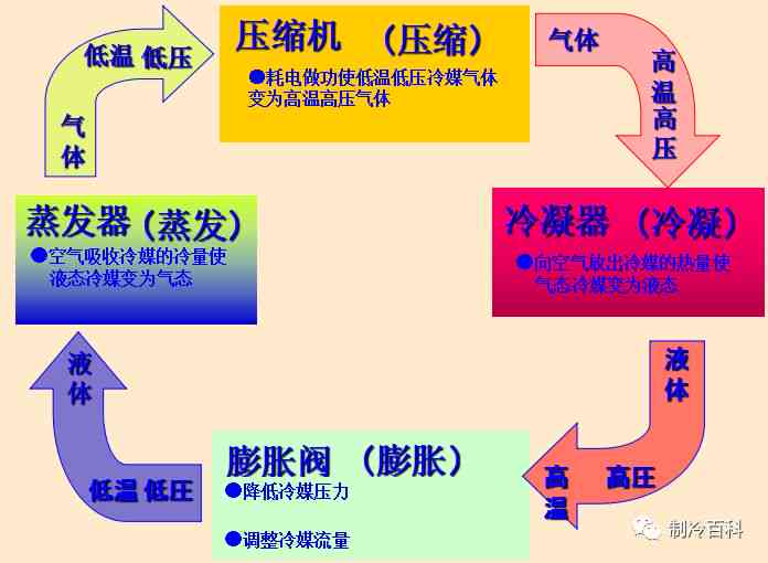 普洱茶的引导转化：原理、成分与作用