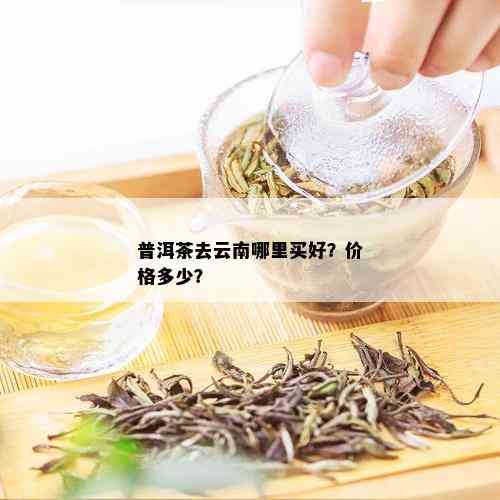 云南普洱茶5万元一斤价格表：最新云南普洱茶价格