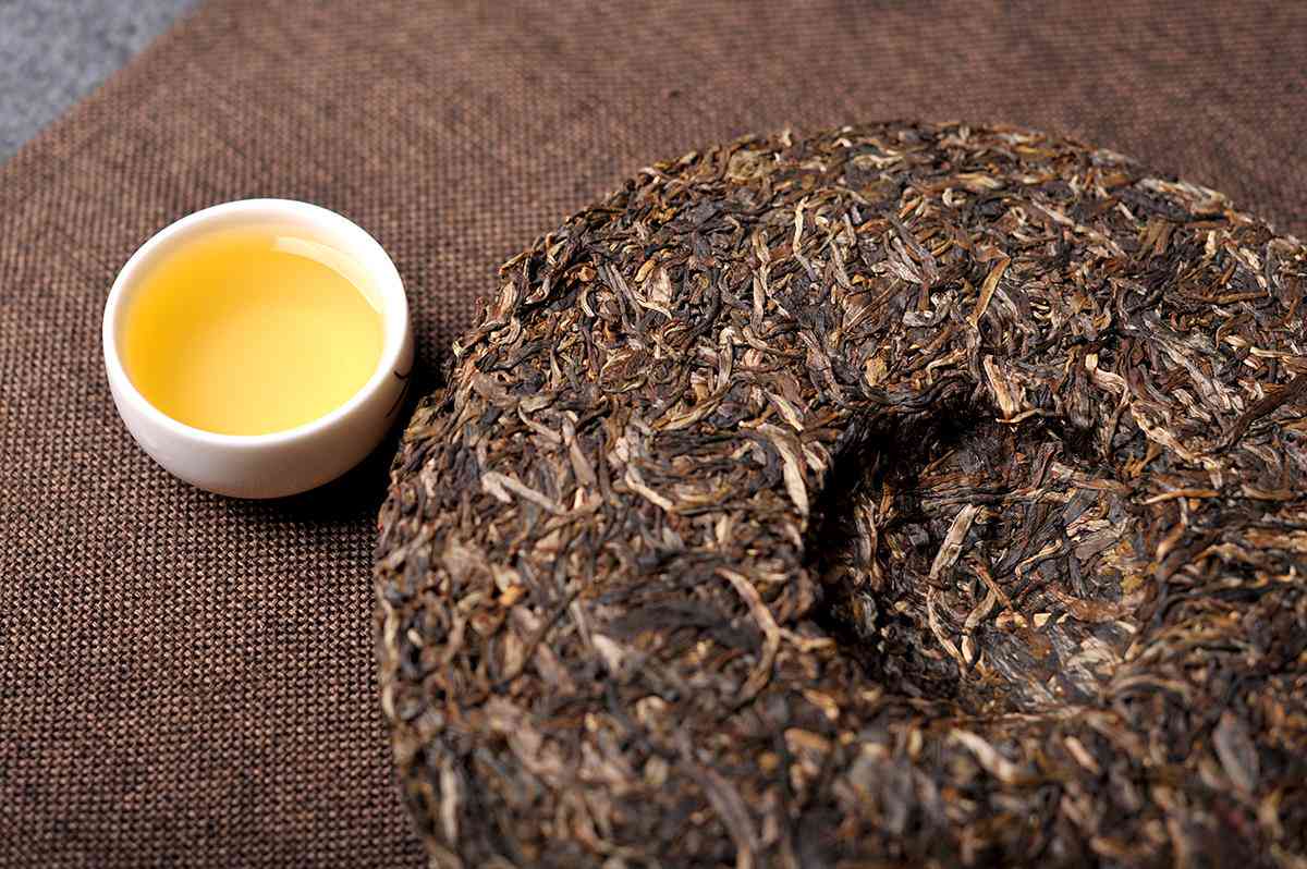 老树饼普洱茶2006价格表及特点，600年老树茶饼普洱茶的详细介绍。