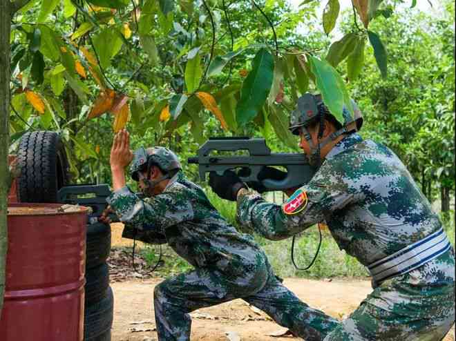 探索真人CS基地普洱茶：品质、口感及如何选择，一篇全面的指南