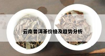 云南普洱茶的价格区间及影响因素全解析，助您轻松选购合适的茶叶