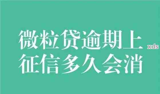 微粒贷逾期半月如何处理：逾期后果、还款及后续使用问题解答