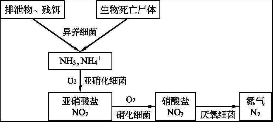 微粒贷逾期840天：解决方案、影响与应对策略全面解析