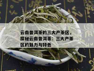 云南普洱茶地区特色有哪些