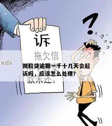 微粒贷逾期一千六元：了解可能的后果与解决方法