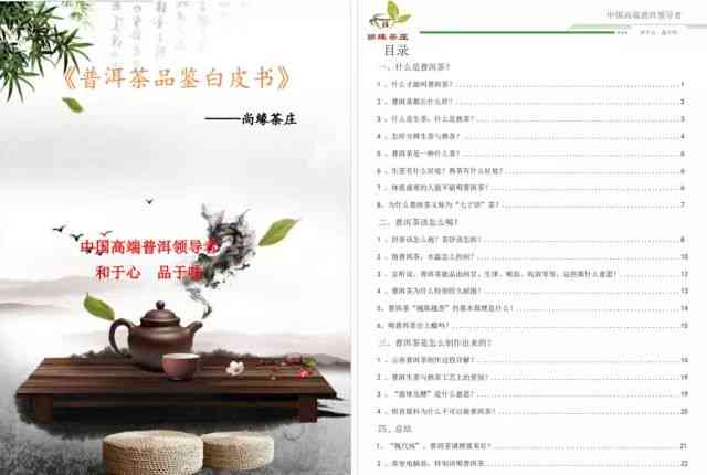 精选普洱茶指南：全方位了解与品鉴攻略