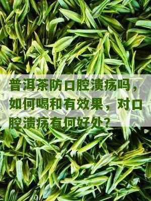 口腔溃疡喝什么普洱茶