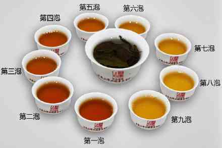 云南大理普洱茶：探索高品质茶叶的来源、制作工艺与品鉴技巧