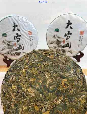 大雪山普洱茶：生茶的醇厚口感与独特风味解析