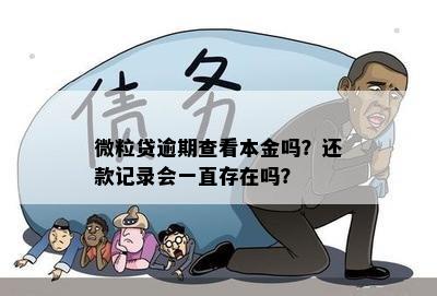 微粒贷逾期还款记录查询方法：如何快速了解本金及总欠款？