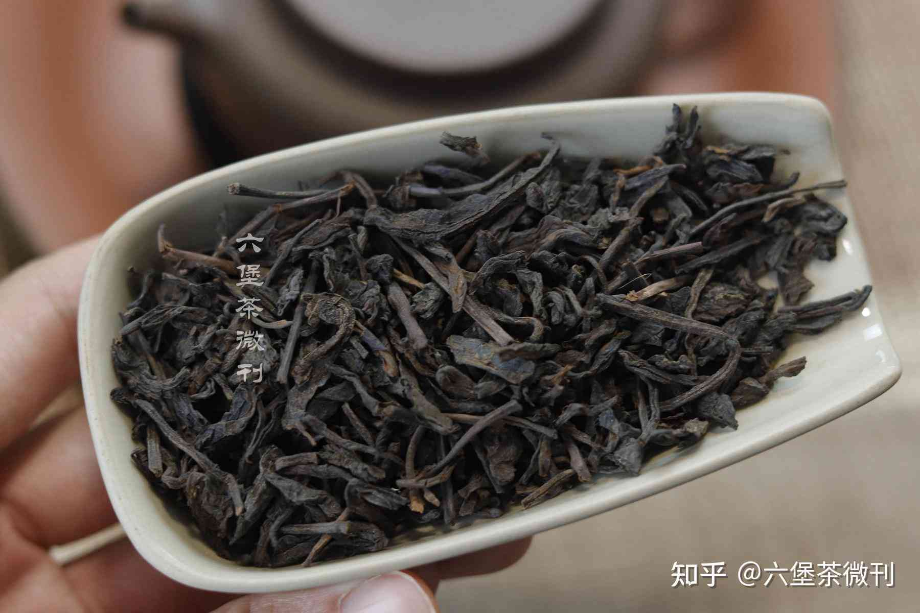 六堡茶普洱茶哪个好喝些