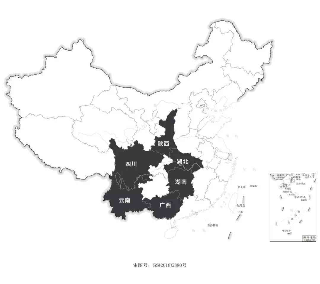 六堡茶与普洱茶：两种独特的茶类对比分析