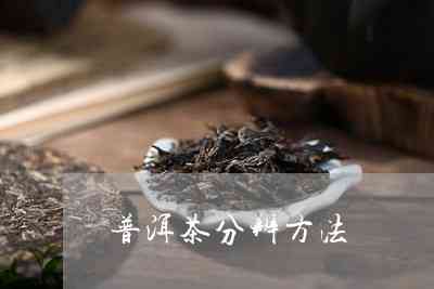 看茶叶分辨普洱茶的方法