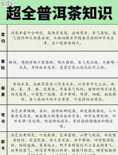 探索你可能误泡的普洱茶种类：英文指南与实际体验