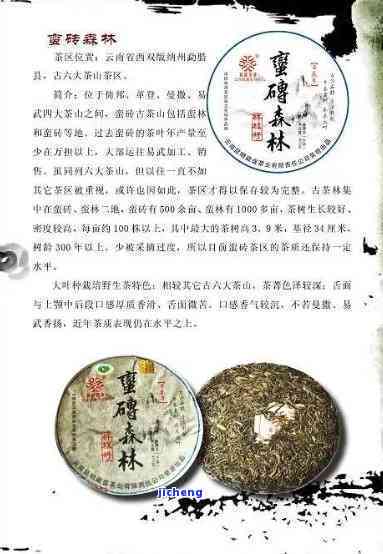 普洱茶新品发布高端产品、品种与特点：探寻顶级品鉴之路