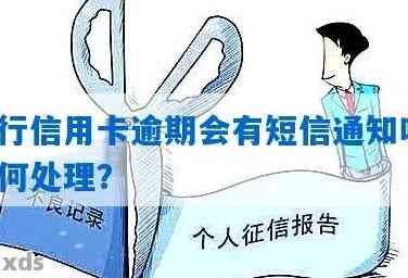 建设银行信用卡逾期信息查询困扰，原因何在？如何解决还款问题？