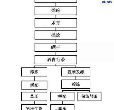 普洱茶评定标准：从品质、制作工艺到品鉴方法的全方位解析