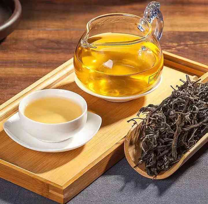 云南大叶种普洱茶在黄草林中的珍稀魅力