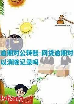 网贷逾期对公转账消除记录：安全性与处理方法