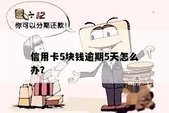 信用卡5块钱逾期两天怎么办？