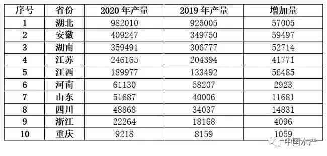 普洱茶10大排行2019:最新排名，2020年十大知名，前十名不分先后