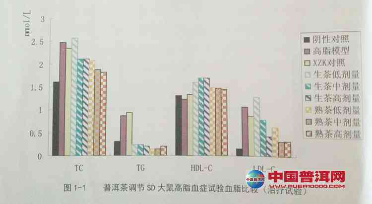 普洱茶对内分泌系统的影响及其综合调节作用：一项全面的研究分析