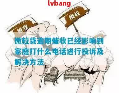 如何应对微粒贷逾期问题？全面解决用户关心的相关疑问