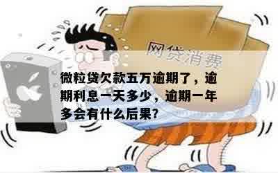 微粒贷5万逾期一年利息：亲身经历与可能的后果