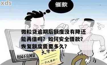 微粒贷逾期后再次借款的时间指南：几天资讯才能实现？